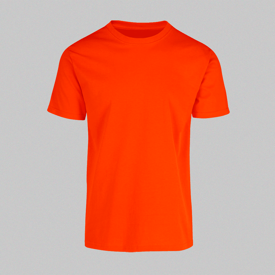 POLERAS REGULAR - PERSONALIZADAS