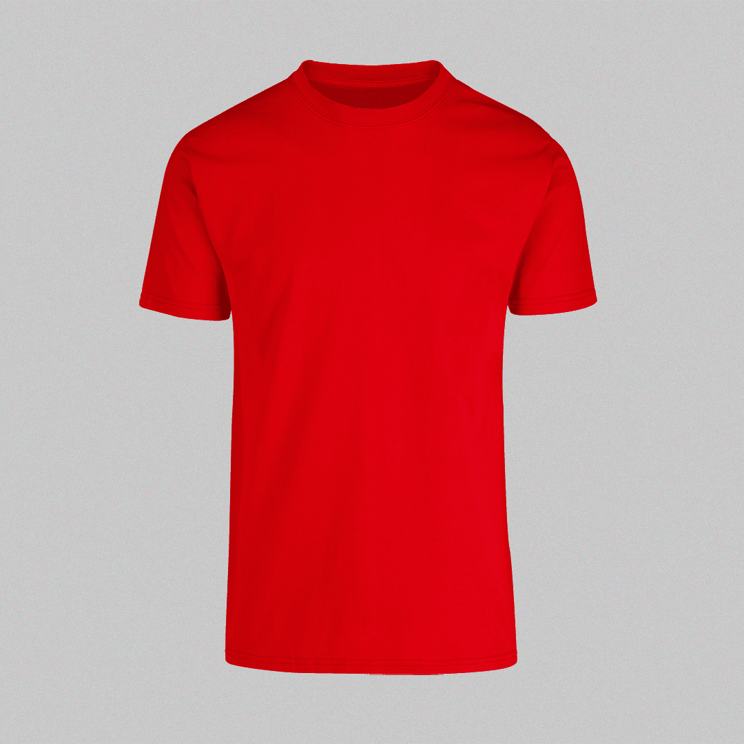 POLERAS REGULAR - PERSONALIZADAS