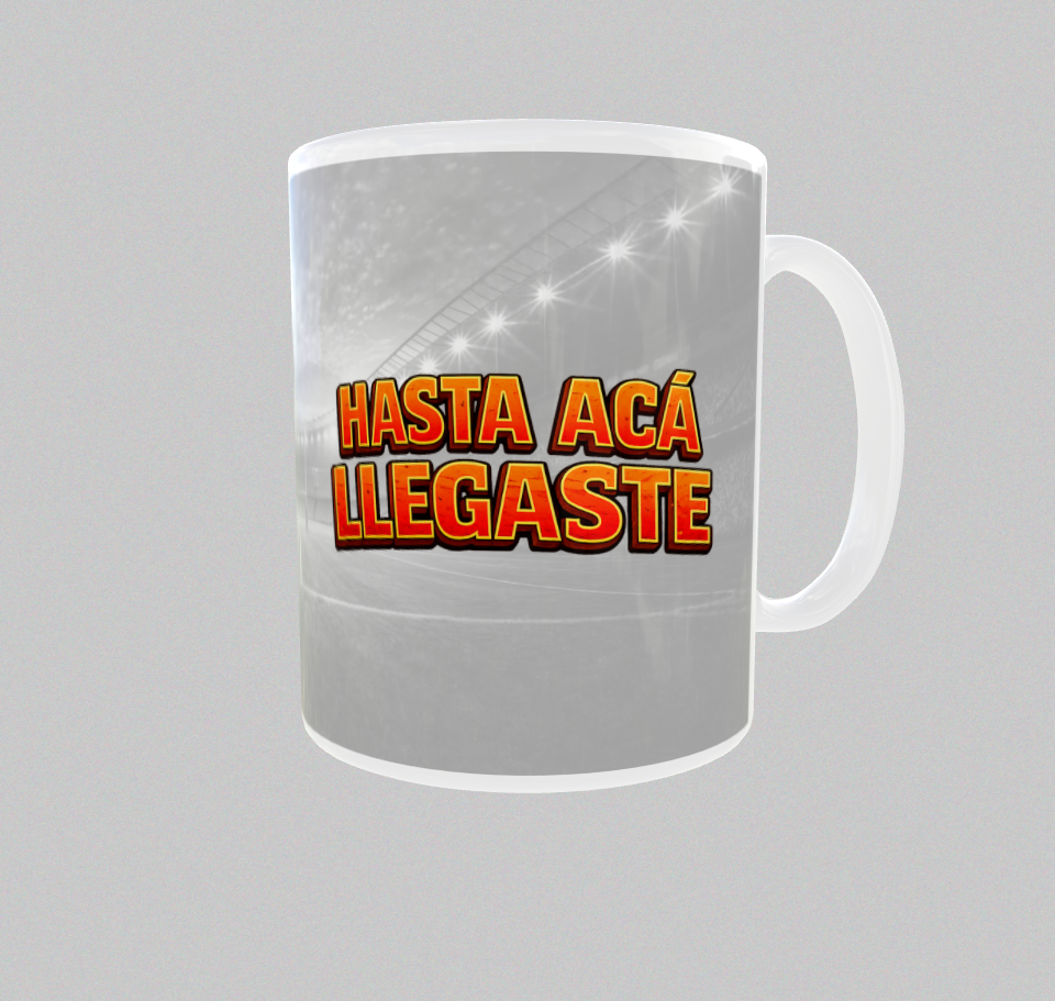 HASTA ACÁ LLEGASTE